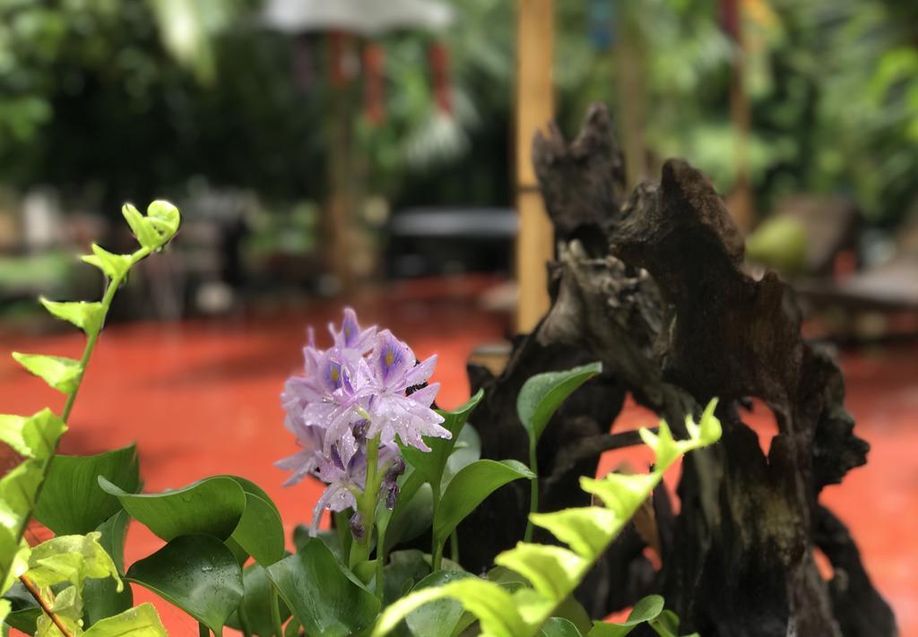 Capital O 1051 Pagoda House Chiang Mai Ngoại thất bức ảnh